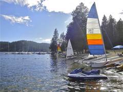 homes for sale